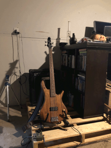 my bass guitar on it's stand